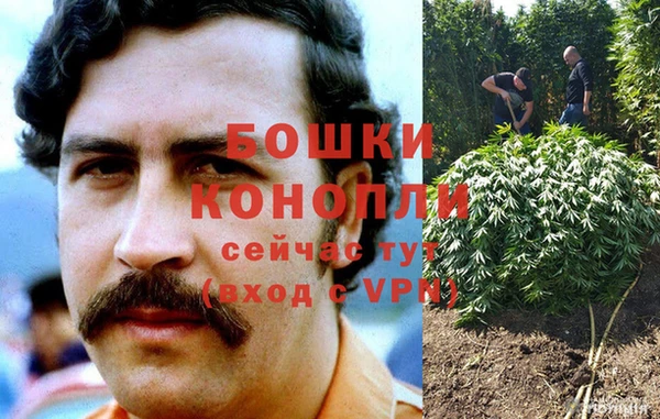 стафф Нея