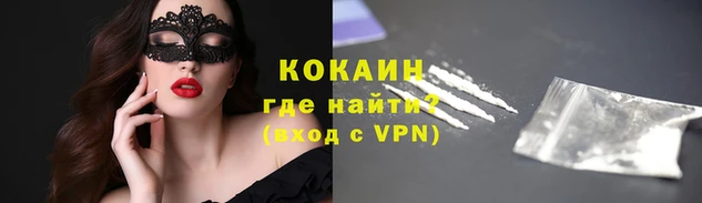 стафф Алзамай