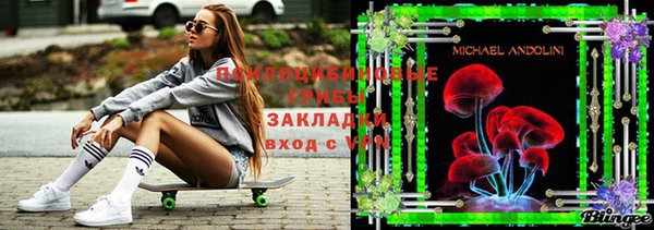 гашик Алексин